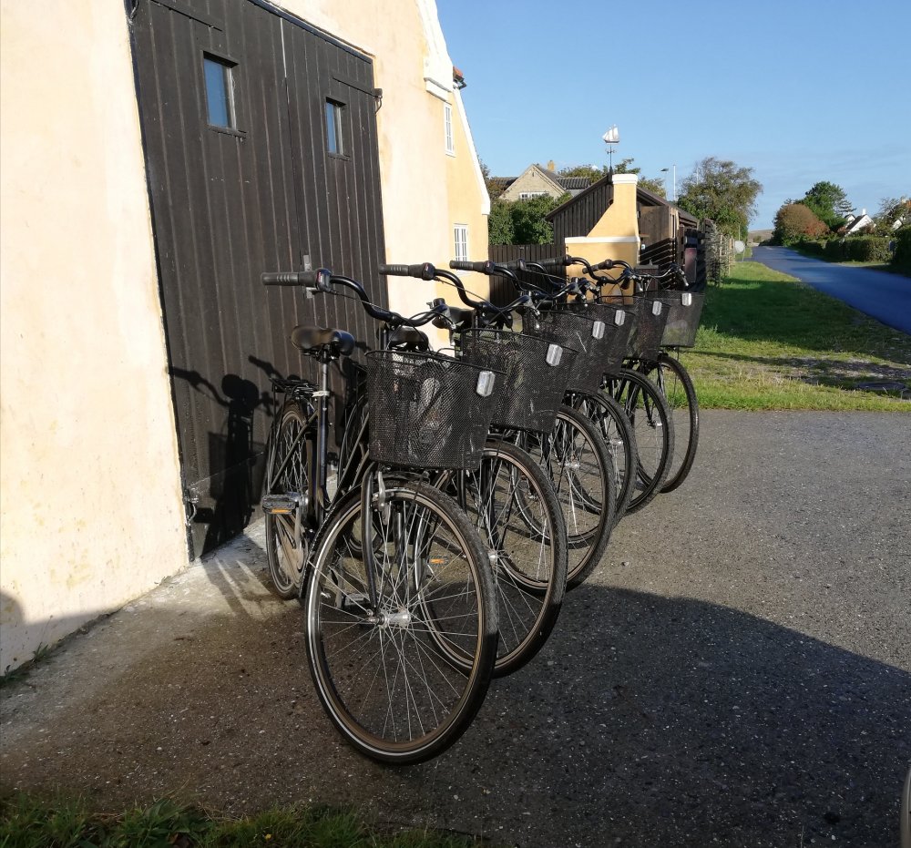 På hovedet af Memo Banke Samsø cykeludlejning/Cycleriet